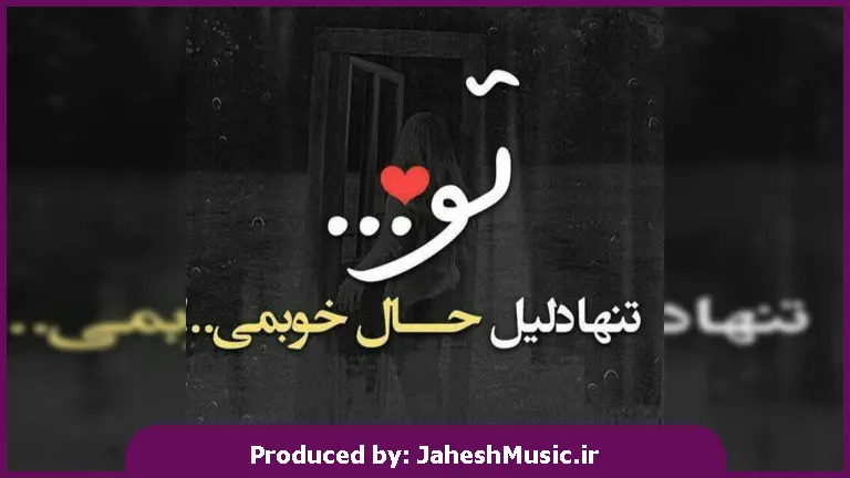 دانلود آهنگ ترکی بیر گون گیدجگیم بورادان از جم آدرین